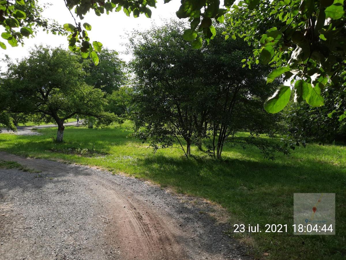 Pensiunea Mir Bran  Bagian luar foto