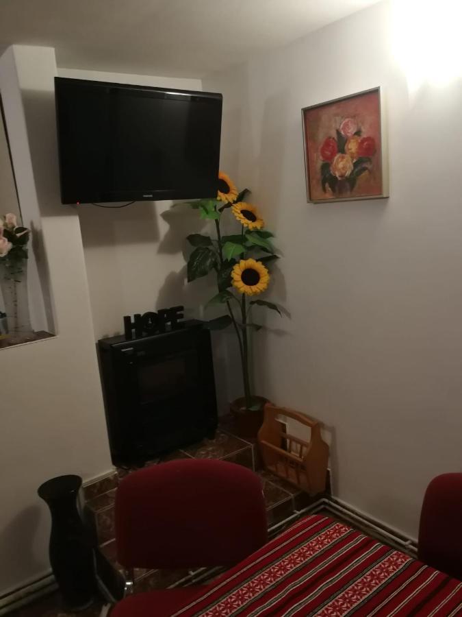 Pensiunea Mir Bran  Bagian luar foto