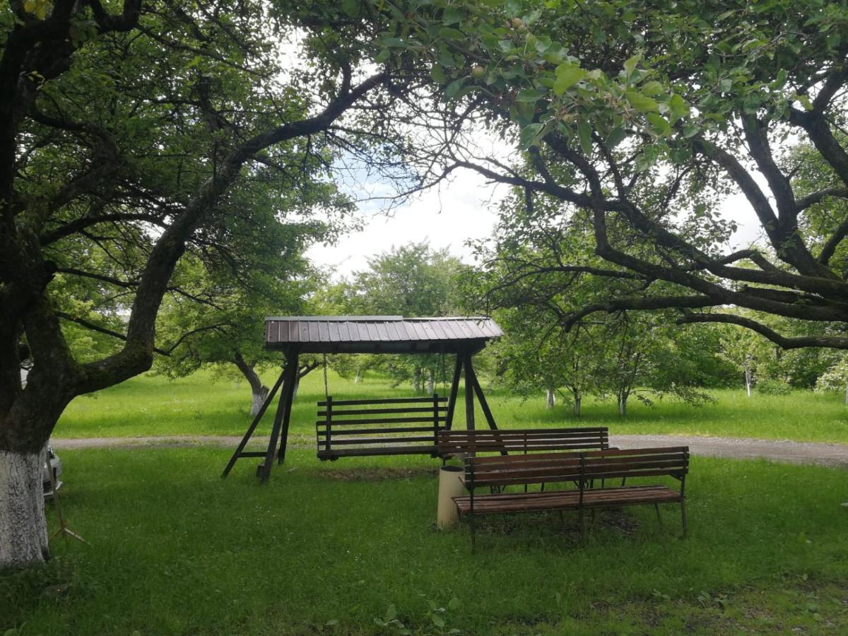 Pensiunea Mir Bran  Bagian luar foto