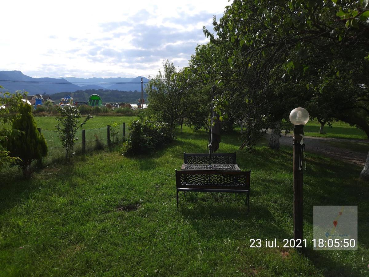 Pensiunea Mir Bran  Bagian luar foto