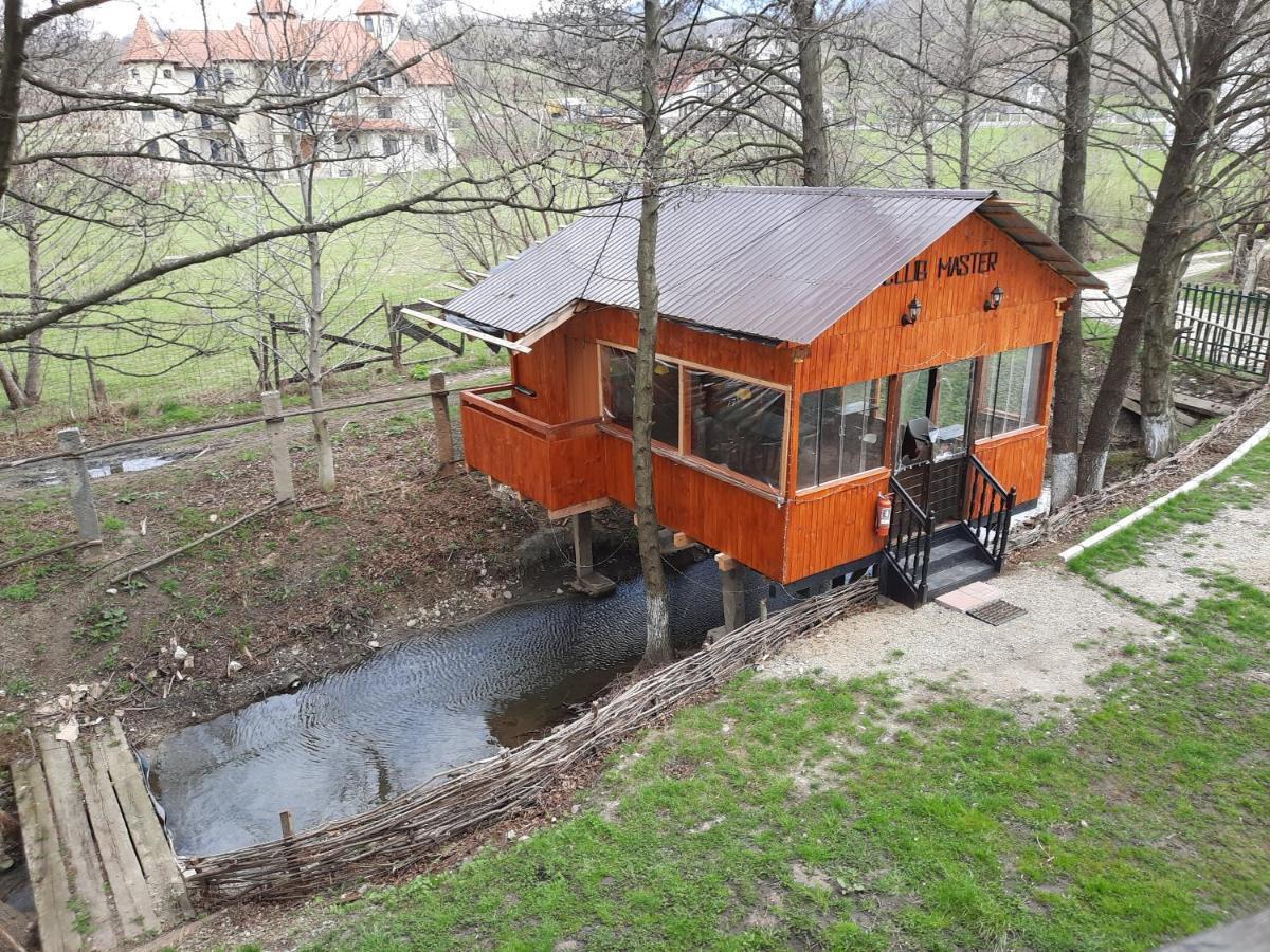 Pensiunea Mir Bran  Bagian luar foto