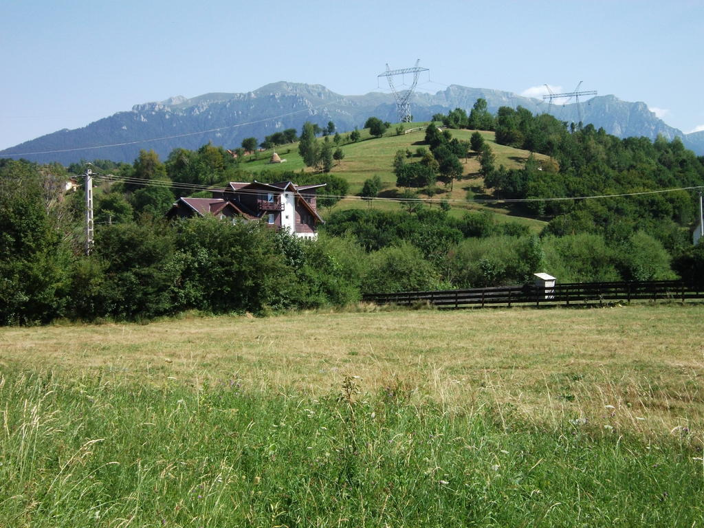 Pensiunea Mir Bran  Bagian luar foto